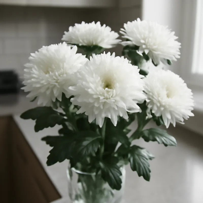 Aster – hvit – bilde 3