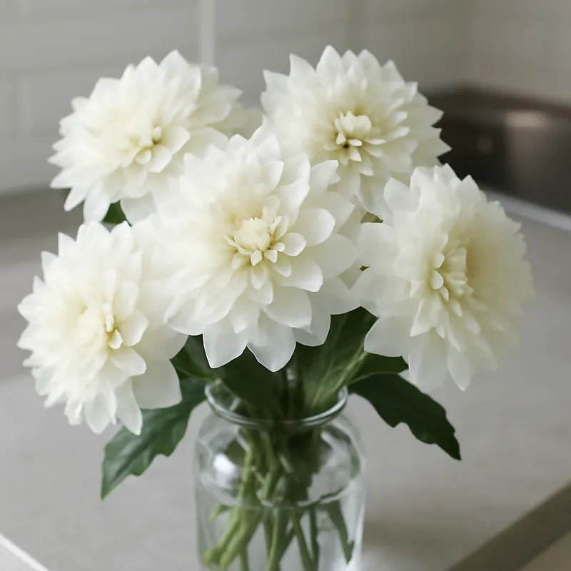 Dahlia – hvit – bilde 3