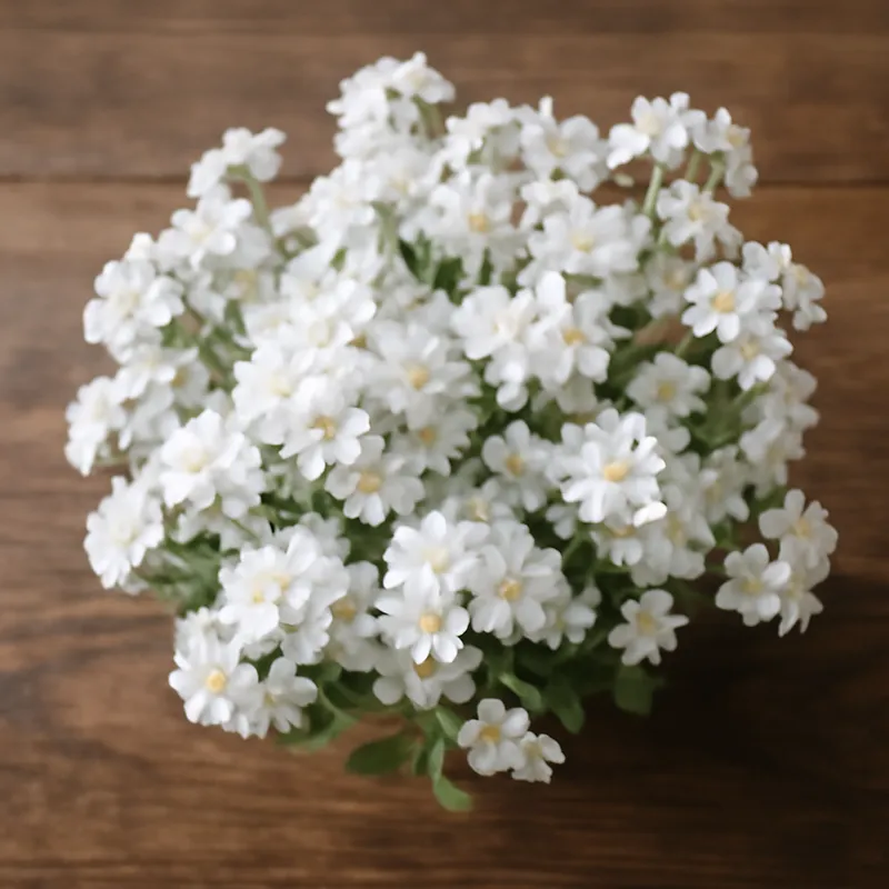 Forglemmegei – hvit – bilde 3