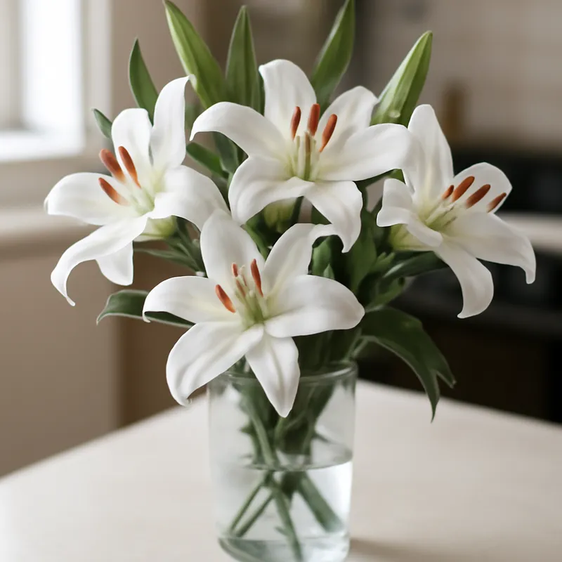 Lilje – klassisk – bilde 3