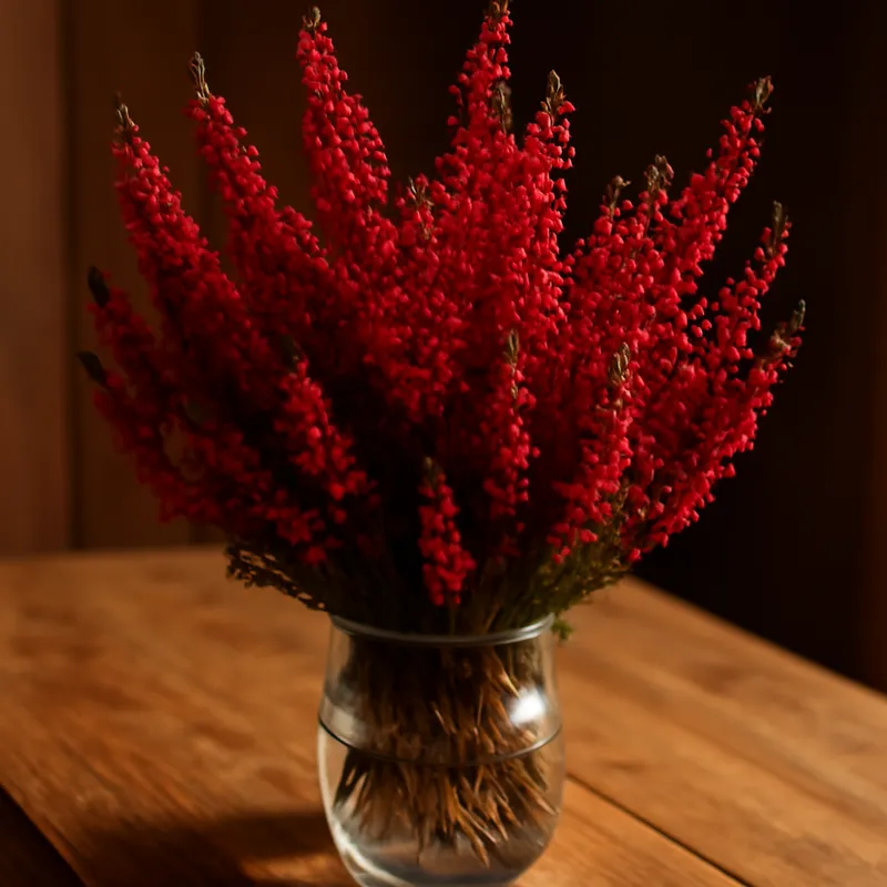 Ljung – rød – bilde 3