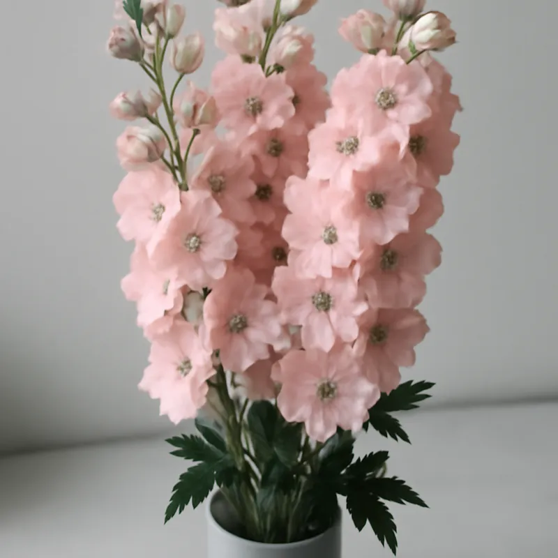 Ridderspore – rosa – bilde 3