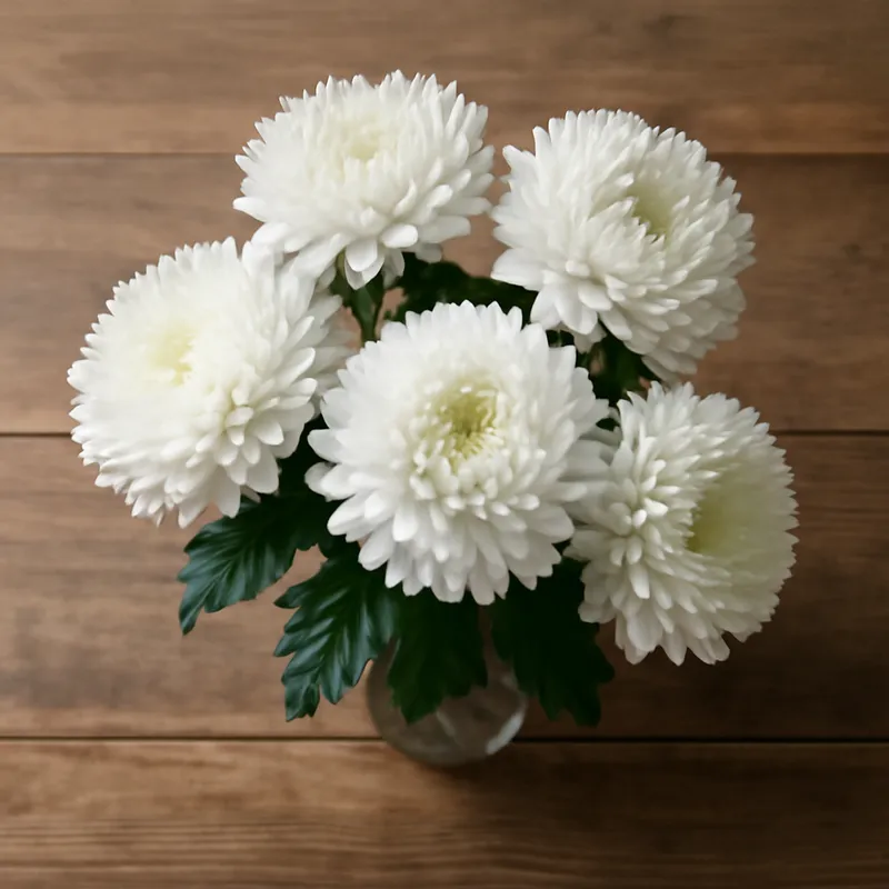 Sommerasters – hvit – bilde 3