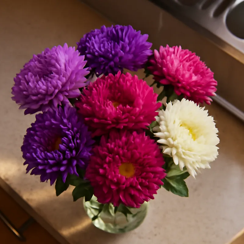 Sommerasters – klassisk – bilde 3