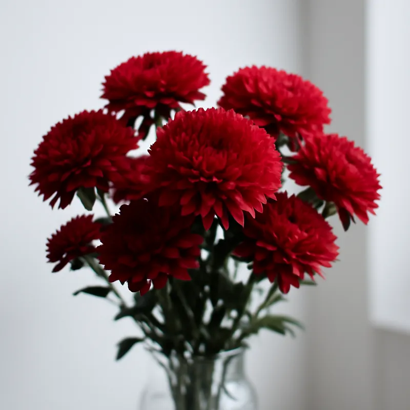 Sommerasters – rød – bilde 3