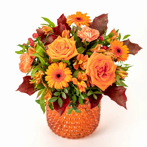 Oransje vibber