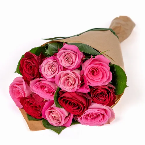 Elegante roser
