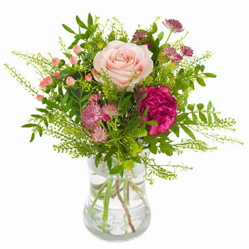 Sjarmerende Rosa