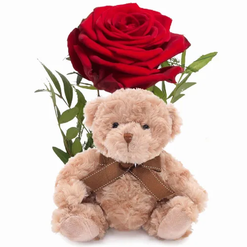 Romantisk rose med bamse